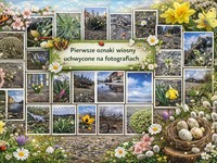 Pierwsze oznaki wiosny - konkurs fotograficzny 
